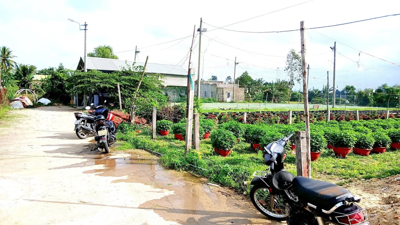 Đất nền An Phú Quảng Ngãi 125m² - Gần chợ, trường học, đầu tư sinh lời!