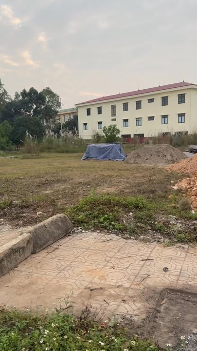 Đất thổ cư Thị trấn Cẩm Khê 100m² giá tốt - Sổ hồng chính chủ sẵn sàng công chứng!