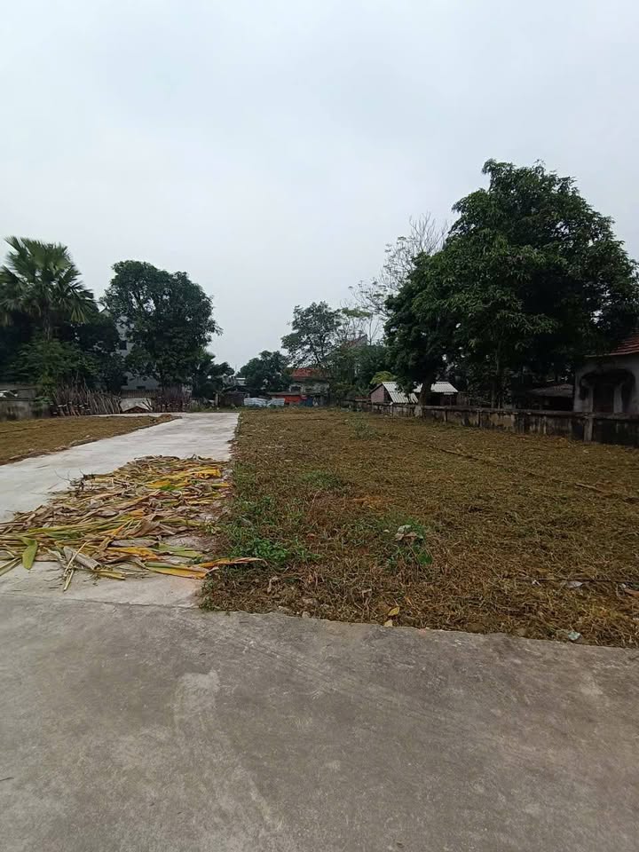 Đất nền đẹp tại khu 12, Lam Sơn, Tam Nông, Phú Thọ - Chỉ 300 triệu sở hữu ngay!