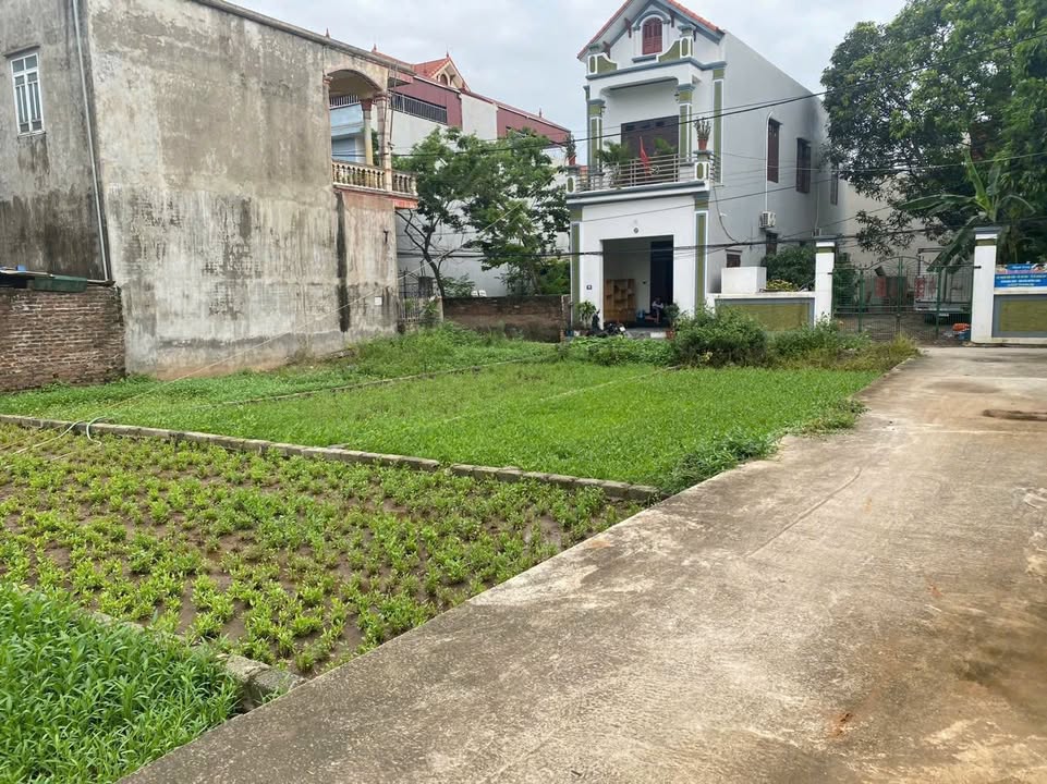 Đất thổ cư Thư Phú, Thường Tín 56m² giá 3 tỷ - Cơ hội đầu tư hấp dẫn!