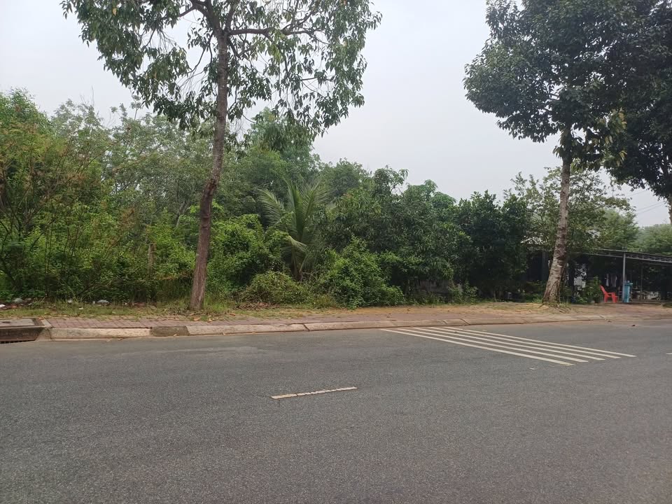 Đất nền mặt tiền đường Lê Hồng Phong, xã Dầu Tiếng, 222m² chỉ 1.2 tỷ - Cơ hội đầu tư tuyệt vời!