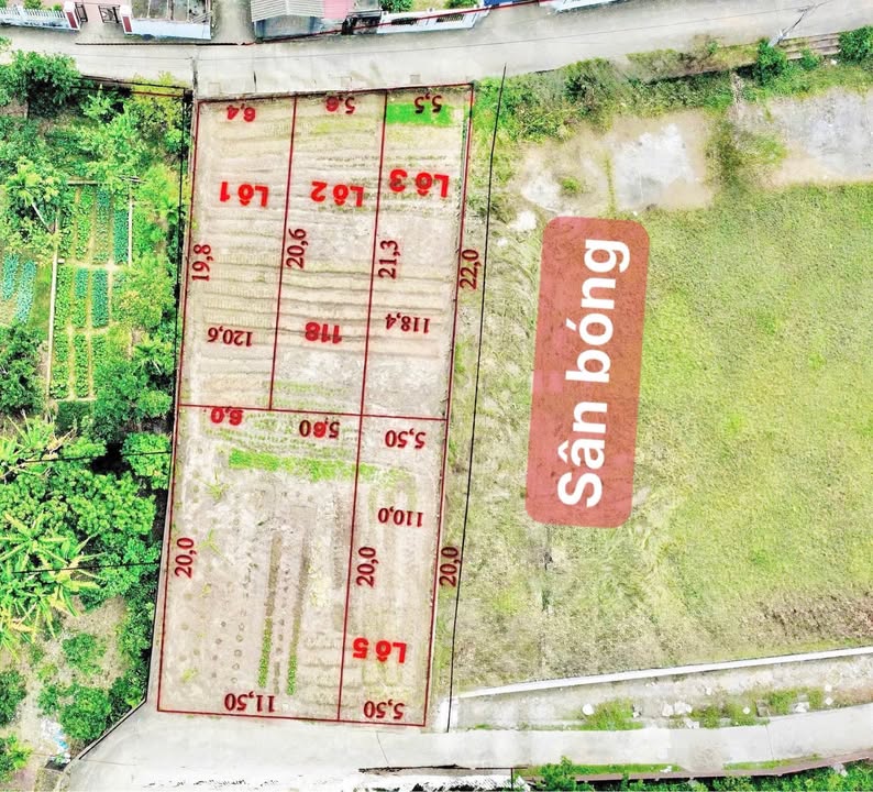 Đất nền Xuân Phú Bắc Giang 125m² giá chỉ 1.2 tỷ - Cắt lỗ nhanh!