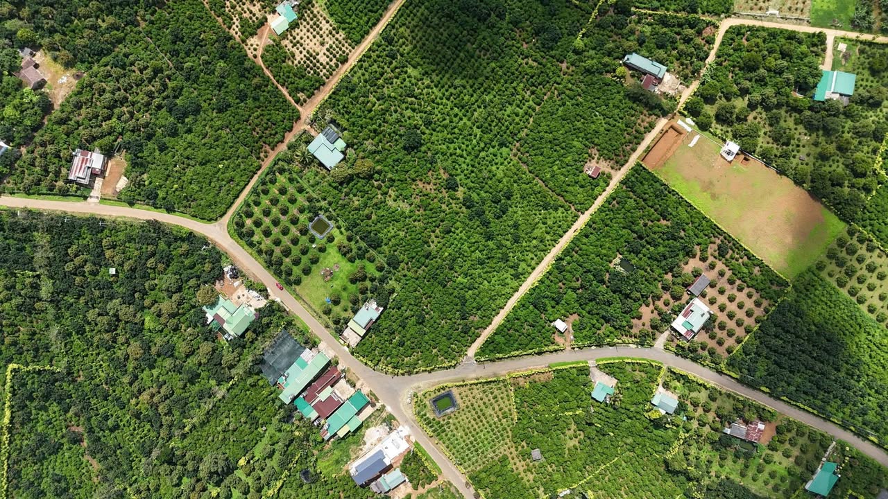 Đất Hòa Ninh Di Linh 5043m² giá 4 tỷ - Mặt tiền 155m, đầu tư lý tưởng!