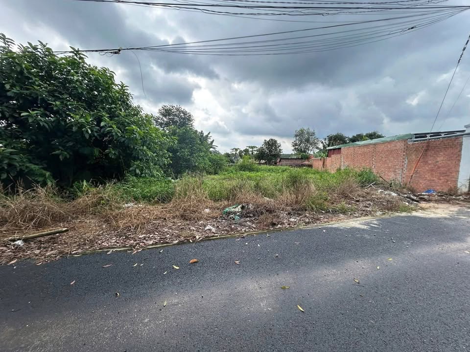 Đất nền Phước Hòa, Phú Giáo 480m² giá 2.05 tỷ - Đường thông thoáng, dân cư đông đúc!