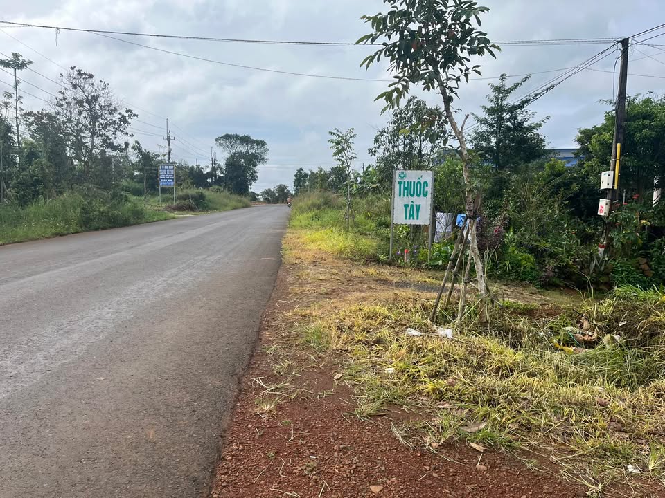 Đất vườn 6 sào tại Nghĩa Thắng, Đắk R'Lấp, giá thỏa thuận - Cơ hội kinh doanh tuyệt vời!