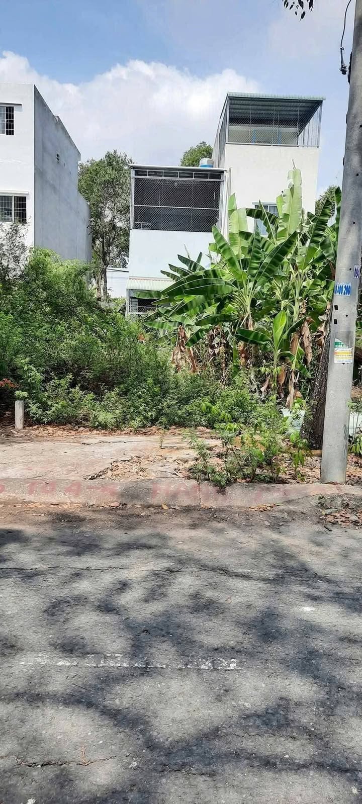 Đất nền đường số 11, phường 5, Tân An, 64m² giá 1.35 tỷ - Cơ hội đầu tư hấp dẫn!