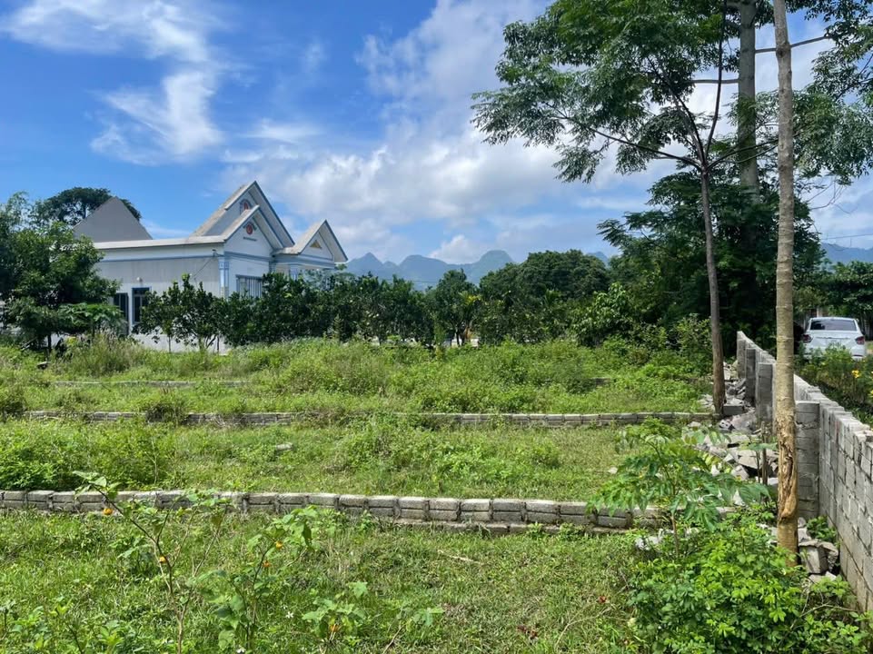 Đất nền Yên Trị Đoan Hùng 150m² - Vị trí tiềm năng cho đầu tư!