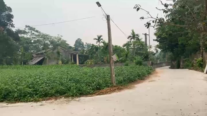 Đất nền Hoàng Cương, Thanh Ba, 335m² giá 700 triệu - Cần bán gấp chính chủ!