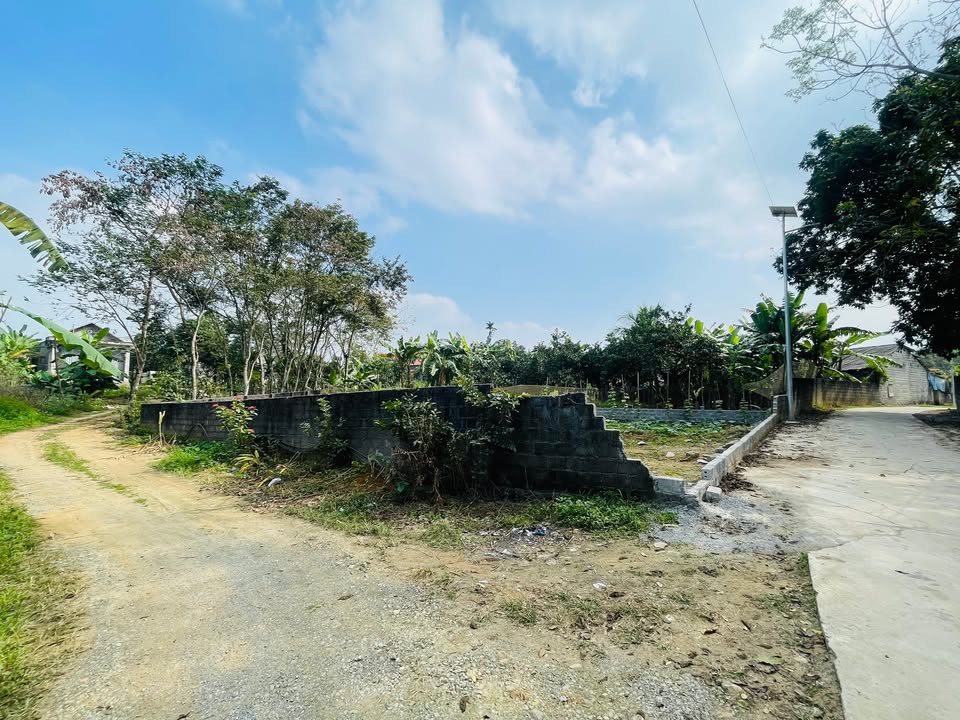 Đất Nền Lô Góc 360m² Nhuận Trạch, Lương Sơn, Hòa Bình - Giá Chỉ 2 Tỷ