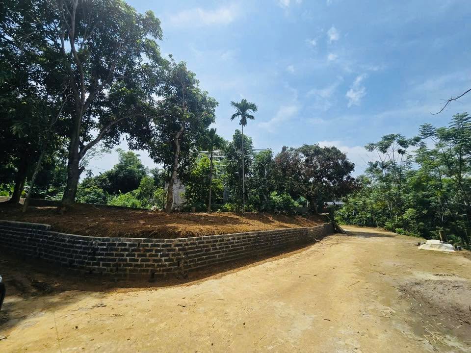 Đất nền Hòa Sơn 300m² - Đất thổ cư, vị trí đẹp cho đầu tư!