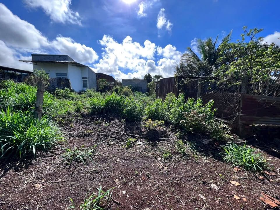 Đất thổ cư Lê Quý Đôn, An Bình 100m² giá 495 triệu - Cơ hội đầu tư hấp dẫn!