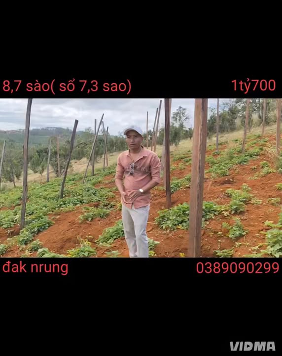 Đất nền Đắk N'Drung 8700m² giá 1.7 tỷ - Sổ đỏ chính chủ, thương lượng tốt!