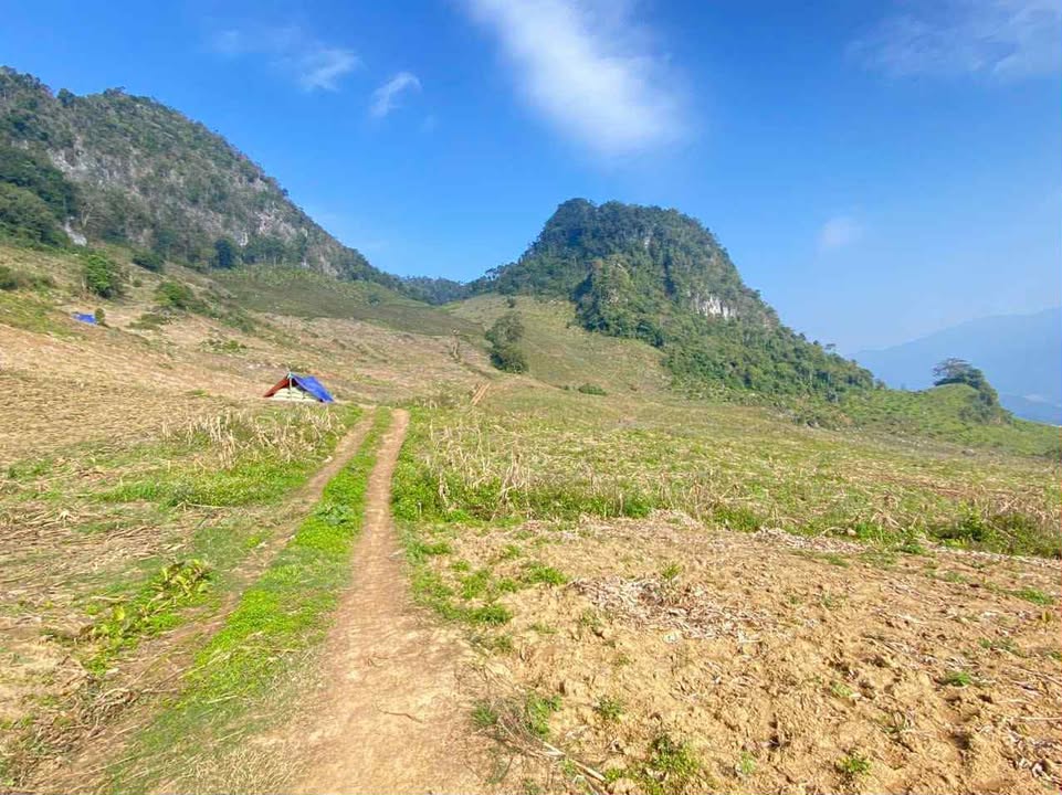 Đất Farm 4ha tại Chiềng Sơn, Mộc Châu - Giá chỉ 1 tỷ, Tiềm năng phát triển lớn!