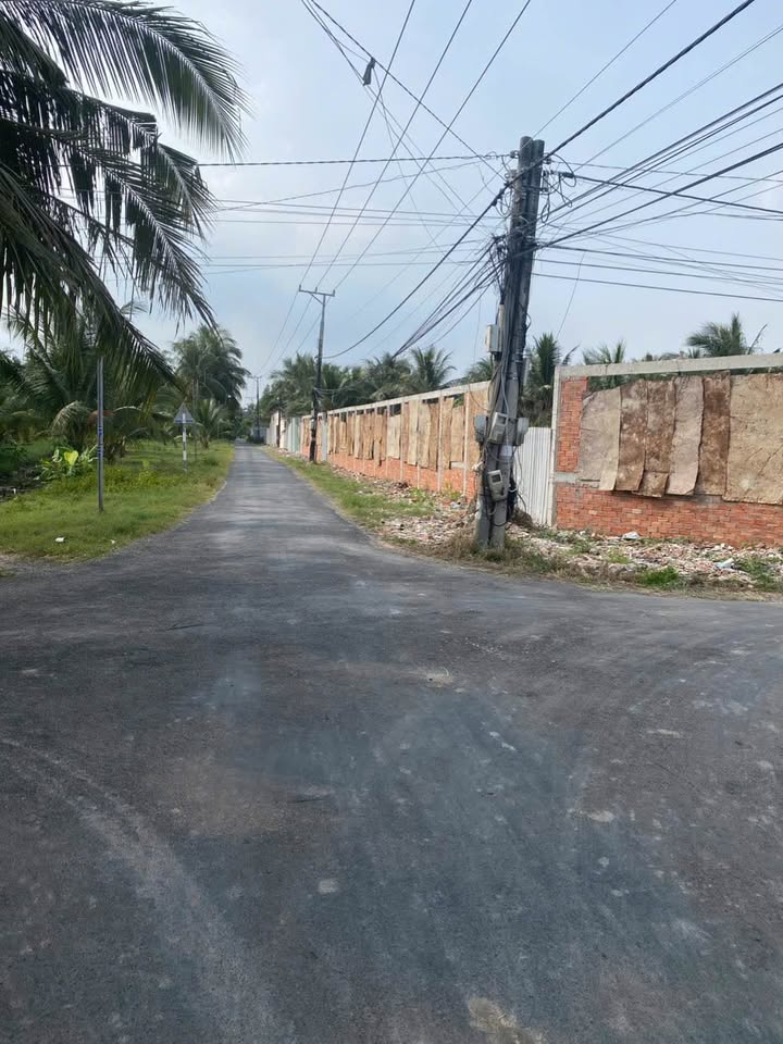 Bán đất nền phường Long Đức, Trà Vinh 245m² - Đường bê tông ô tô vào tận nơi!