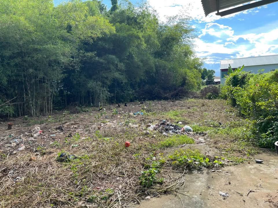 Đất nền Khóm 4, TP Trà Vinh 192m² giá 500 triệu - Đầu tư sinh lời ngay!