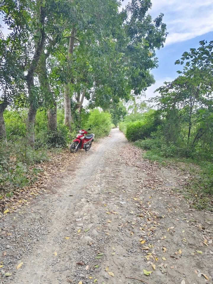 Đất mặt tiền hẻm 580 Tôn Đức Thắng, TP. Sóc Trăng 658m² - Giá chỉ 1.1 tỷ!