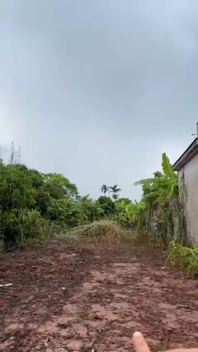 Đất nền Đông Lâm Tiền Hải 273m² giá 1.3 tỷ - Đầu tư thông minh cho tương lai!