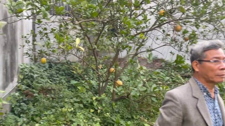 Đất nền Xuân Phương, Nam Từ Liêm 227m² giá 29.5 tỷ - Cơ hội đầu tư hấp dẫn!