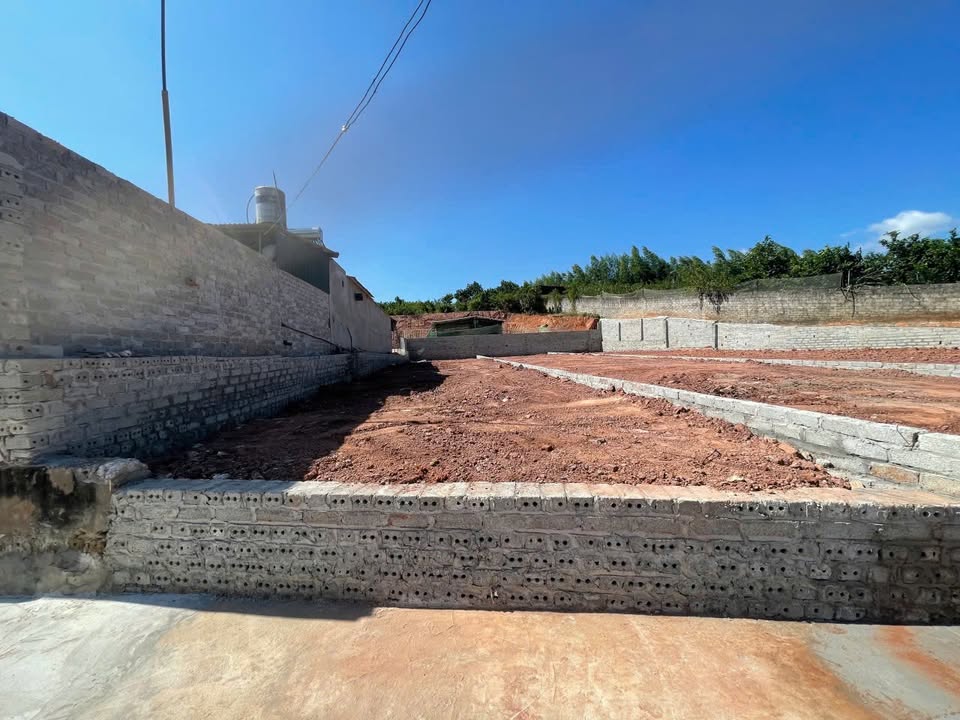 Đất nền chính chủ tại Tân Thanh, Lạng Giang, Bắc Giang 181m² - Đầu tư sinh lời ngay!