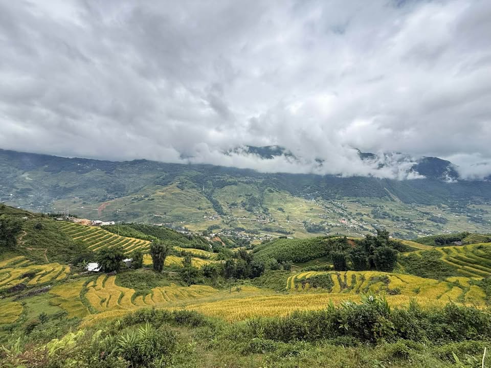 Đất Thung lũng Mường Hoa, Sa Pa 500m² giá 2 tỷ - Cơ hội đầu tư lý tưởng!