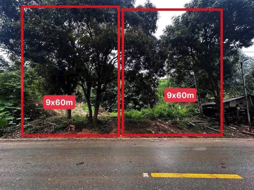 Đất thổ cư 100m² và CLN 440m² tại Quốc lộ 70, Lào Cai - Giá chỉ 455 triệu!