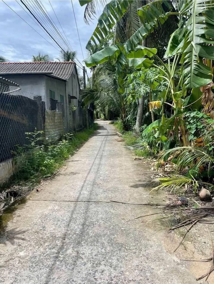 Đất thổ cư Nhị Mỹ, Cai Lậy 50m² giá 380 triệu - Mặt tiền xe hơi, gần nhiều tiện ích!