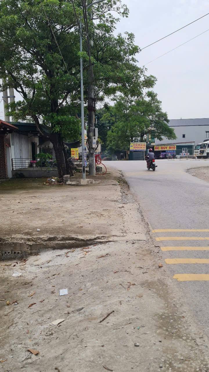 Lô đất 895m² tại Đông Lĩnh, Thanh Hóa - Cơ hội xây biệt thự nghỉ dưỡng lý tưởng!