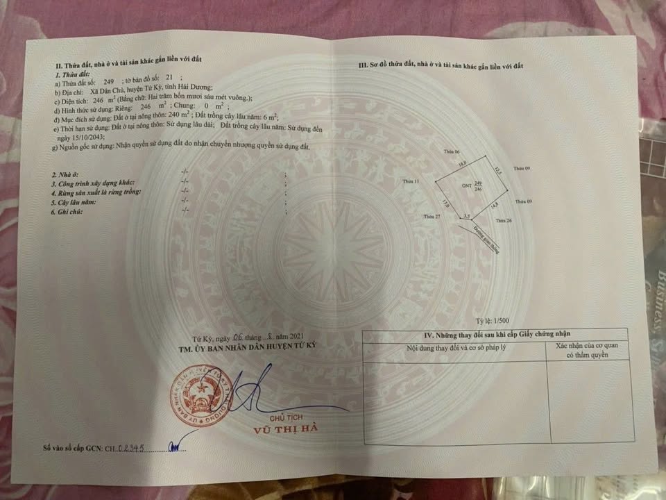 Đất nền Dân Chủ Tứ Kỳ 246m² - Sổ đỏ chính chủ, giá cắt lỗ hấp dẫn!