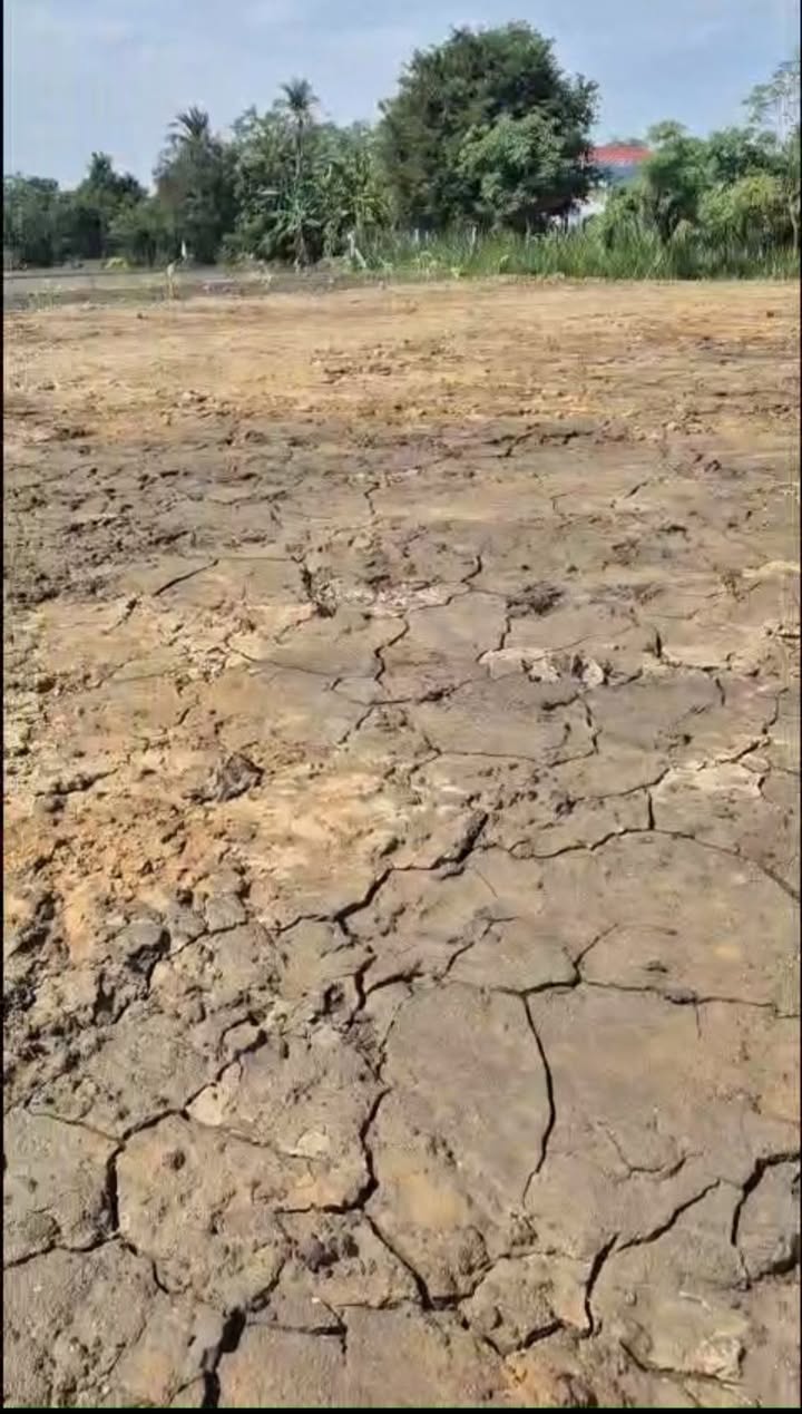 Đất nền Sơn Qui, Châu Thành, 1005m² giá 580 triệu - Cơ hội đầu tư tuyệt vời!