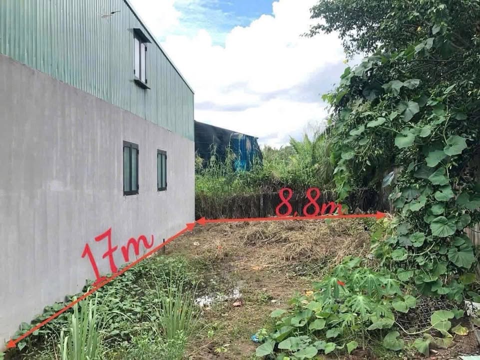 Đất nền tại ấp 1 Nhựt Chánh, Bến Lức 97m² giá chỉ 439 triệu - Đầu tư sinh lời hấp dẫn!