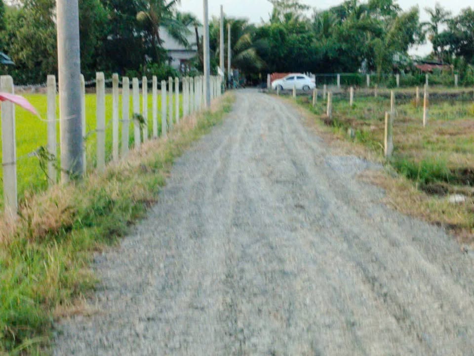 Đất lúa 500m² xã Mỹ Thạnh Đông, Đức Huệ, Long An - Giá chỉ 280 triệu!