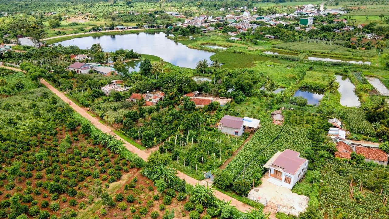 Đất nền Phú Xuân, Krông Năng, 2275m² - Cơ hội đầu tư hấp dẫn!