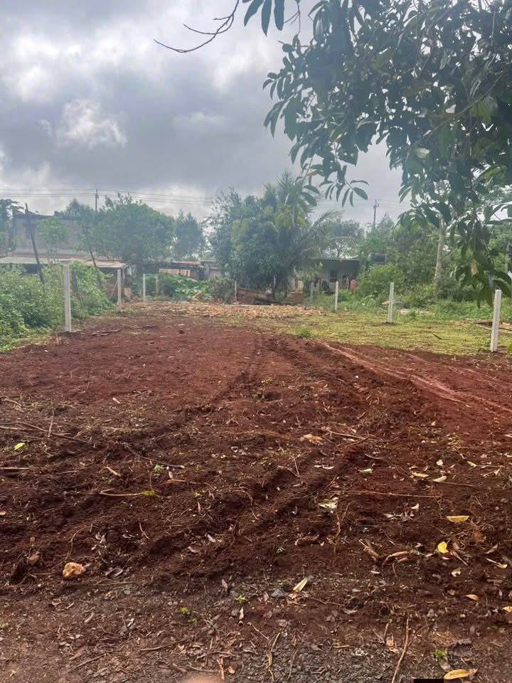 Đất mặt tiền A Mí Đoan Buôn Ma Thuột 300m² giá 2.699 tỷ - Tiềm năng kinh doanh vượt trội!