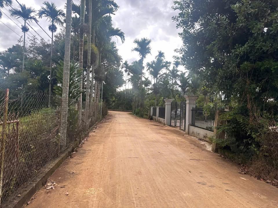 Đất nền khu dân cư đường Trần Văn Phụ, 215m² giá chỉ 695 triệu - Cơ hội đầu tư hấp dẫn!