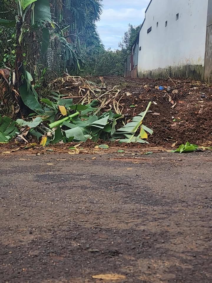 Đất thổ cư 250m² đường Hàm Nghi, Buôn Hồ chỉ 1.65 tỷ - Đầu tư sinh lời!