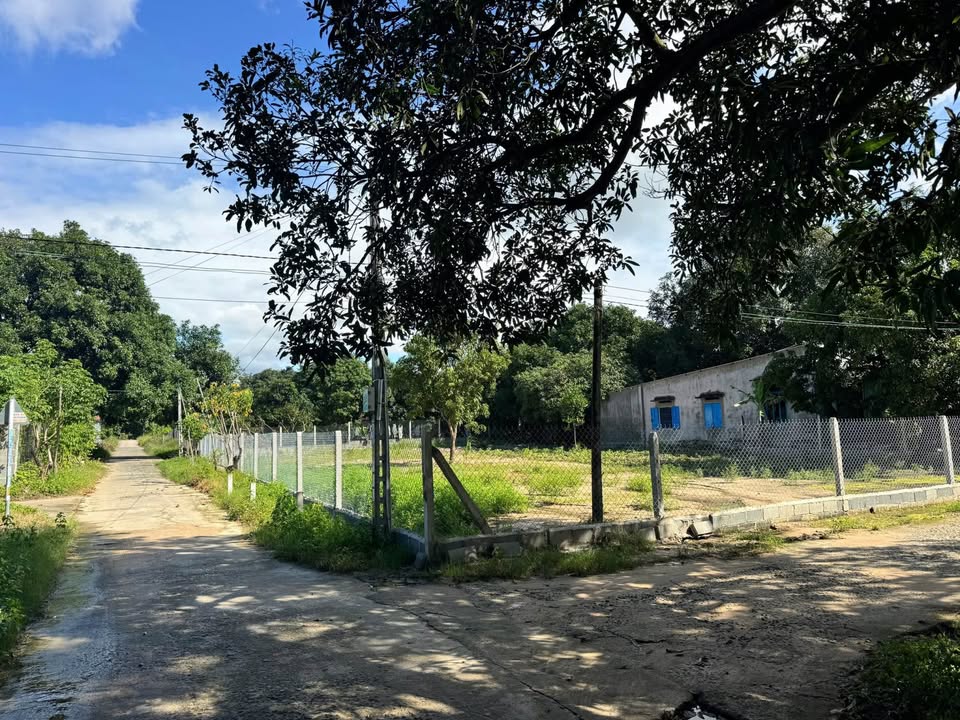 Đất nền Cam Hiệp Nam 943m² giá thỏa thuận - Vị trí góc, quy hoạch đẹp!