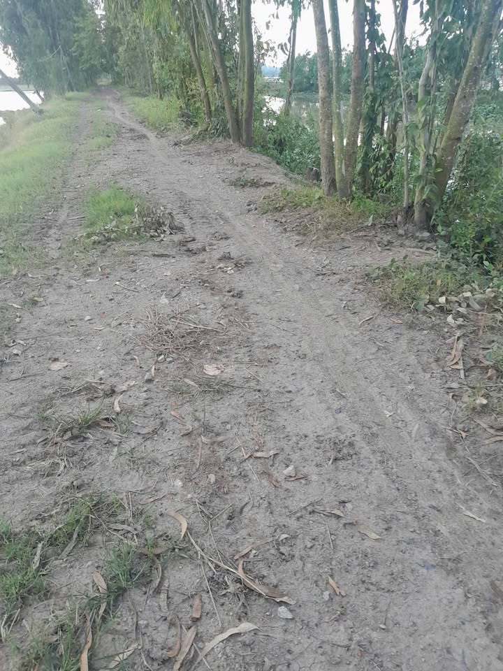 Đất nông nghiệp 30 công Vọng Đông, Thoại Sơn - Giá chỉ 3.9 tỷ, mặt tiền 35m!