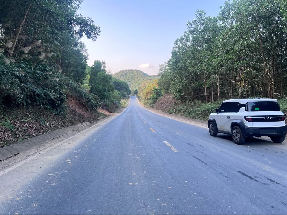 Đất rừng sản xuất Tân Dương 6ha giá 1.5 tỷ - Cơ hội đầu tư tuyệt vời!