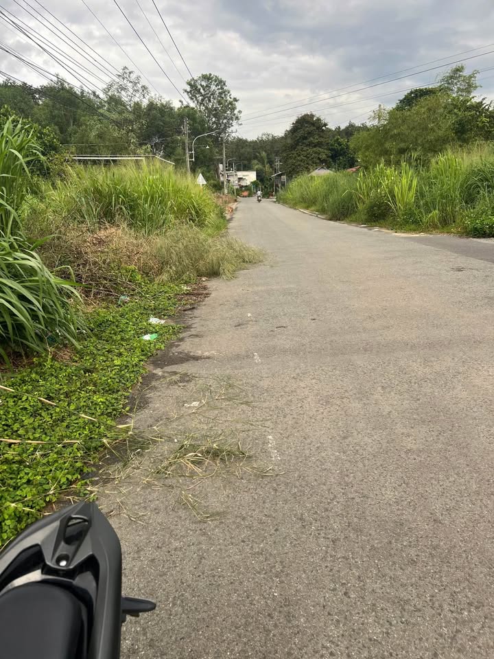 Đất thổ cư 100% An Tây Bến Cát 726m² giá 3.2 tỷ - Mặt tiền đường nhựa rộng rãi!