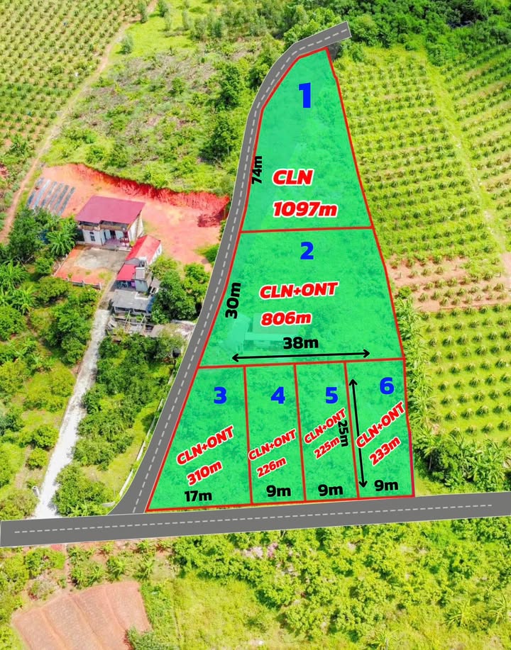 Đất nền giá rẻ tại Bình Sơn, Lục Nam - Diện tích từ 200m², sổ hồng chính chủ!