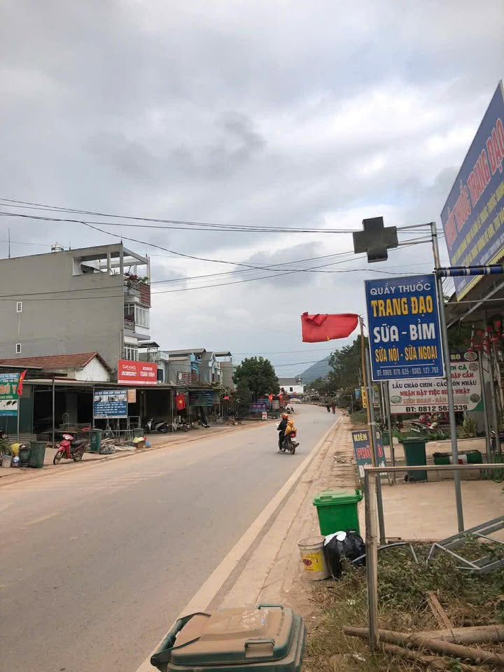 Đất nền mặt tiền TL291 Sơn Động 150m² giá 1 tỷ - Kinh doanh sầm uất!