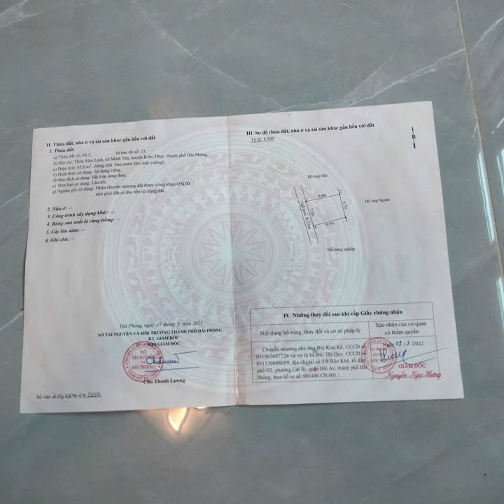 Đất nền Minh Tân Kiến Thụy 65m² giá 800 triệu - Sổ hồng chính chủ, vị trí đắc địa!