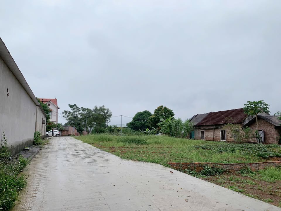 Đất nền Thanh Đình, Việt Trì 90m² giá 1.2 tỷ - Đầu tư sinh lời nhanh chóng!