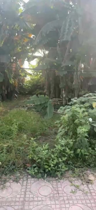 Đất nền Vĩnh Hòa, Hải Phòng 116m² giá 1 tỷ - Đầu tư sinh lời ngay!