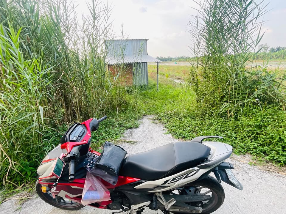 Đất nền xã Phú Quới, Vĩnh Long 6495m² giá 1.819 tỷ - Lộ ô tô, nhà kho sẵn!