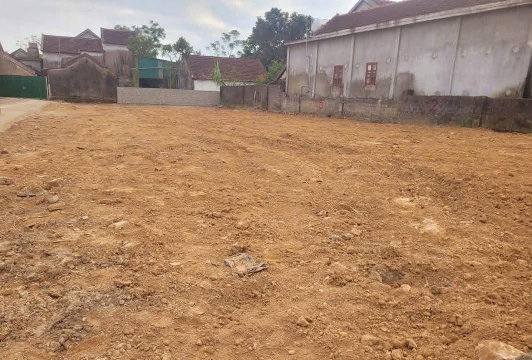 Đất nền Lưu Sơn Đô Lương 160m² giá 600 triệu - Cơ hội đầu tư tuyệt vời!