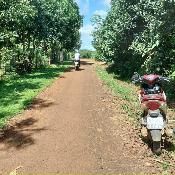 Đất nền 10x50m tại Làng Út 1, Ia Hrung - Giá chỉ 300 triệu