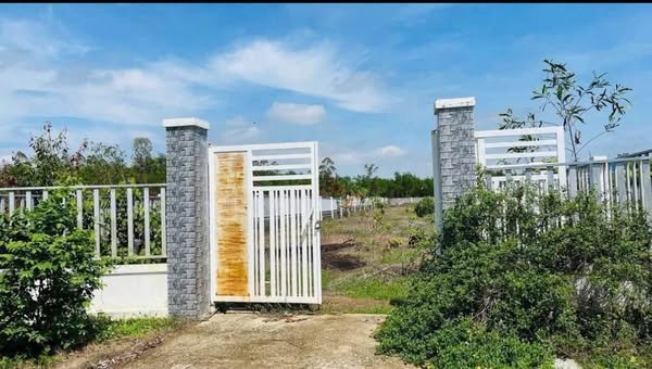 Lô đất Phước Hội Long Điền 1000m² giá chỉ 1.4 tỷ - Cơ hội đầu tư sinh lời!