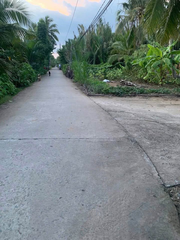 Đất thổ cư Phước Hiệp Mỏ Cày Nam 239.6m² giá 425 triệu - Đường trước nhà 3m, vị trí đẹp!