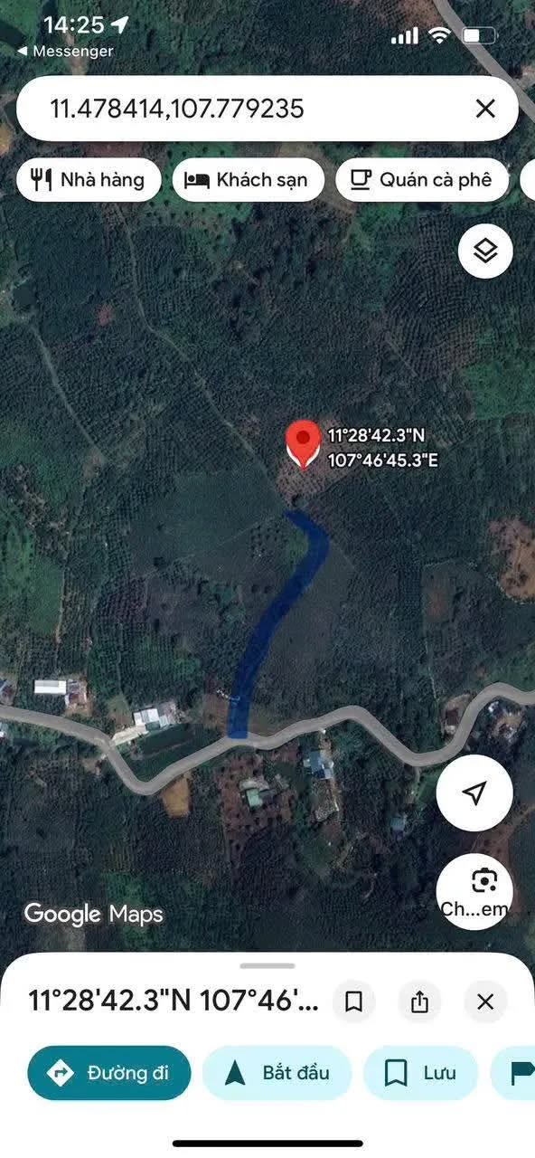 Đất nền Lộc Châu 8000m² giá chỉ 680 triệu - Đầu tư sinh lời ngay!